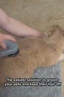 Aspirador de Pelos Pet - Tire os pelos velhos do seu Pet