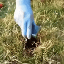 Repelente Solar Ultra Sônico Espanta Pragas